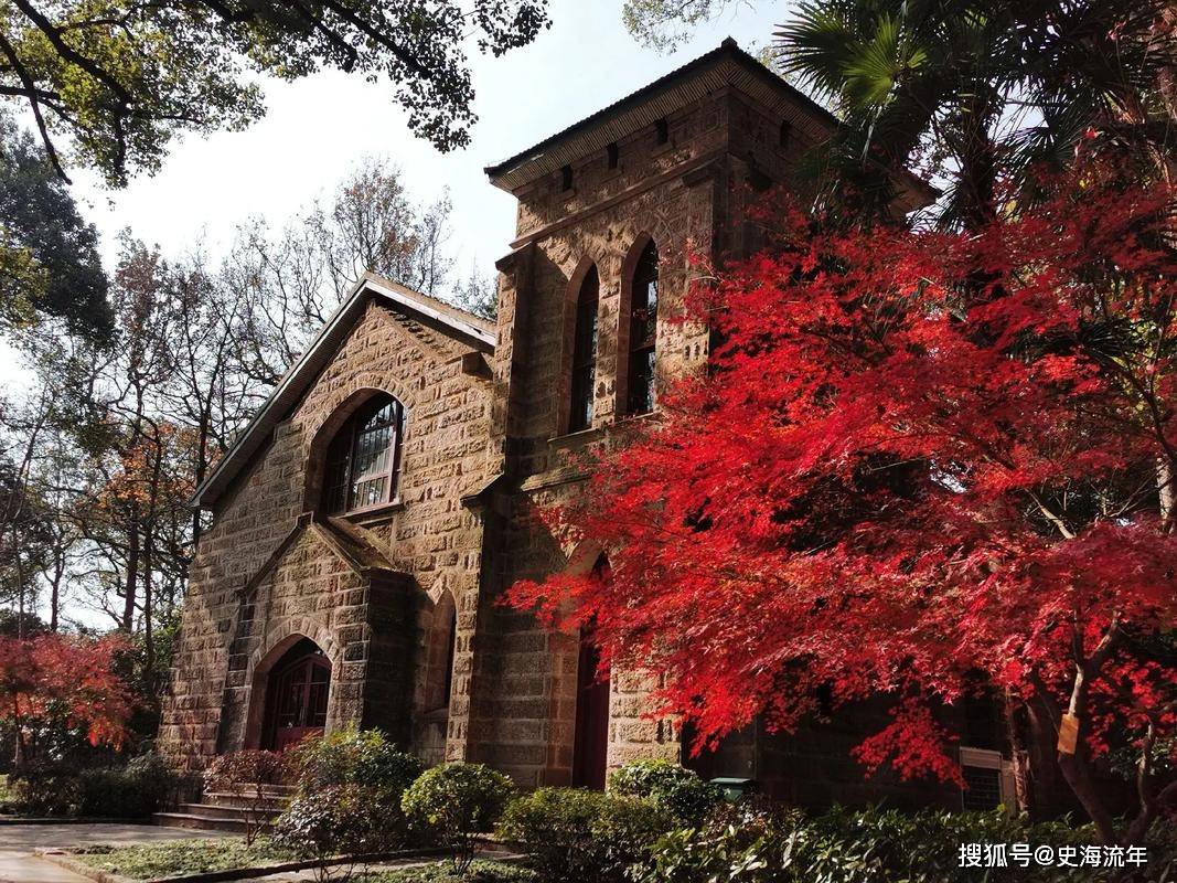 原创            浙大2025保研率出炉，约36%成功上岸，五年保研率揭秘-浙大保研人数统计