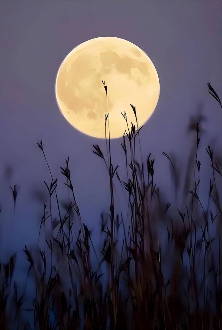 秋风起 夜未央,有关秋夜的诗词,享受秋夜的宁静与美好!