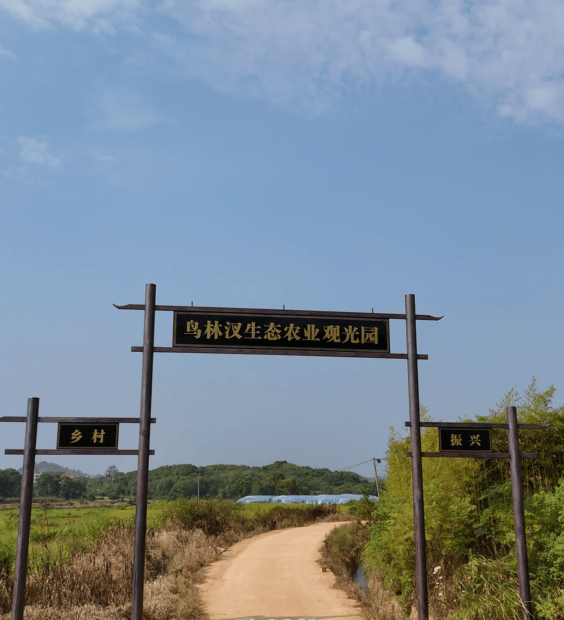 板塘村鄱阳县鸟林汊农业生态园