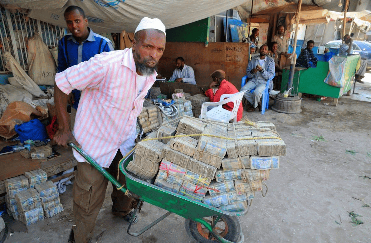 饿得受不了,津巴布韦决定杀200头大象充饥,"非洲粮仓"很缺粮