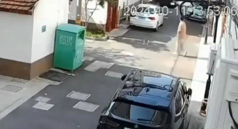 男子佯装撸猫将其摔打致死，现场画面曝光-砸死猫有报应吗