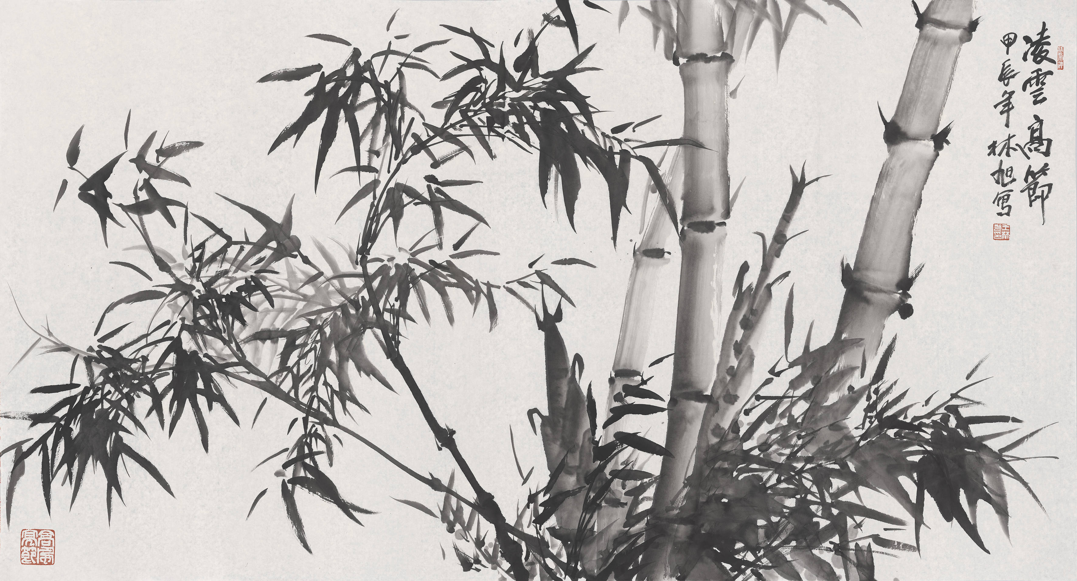 ​王林旭:焕发像竹子一样的活力