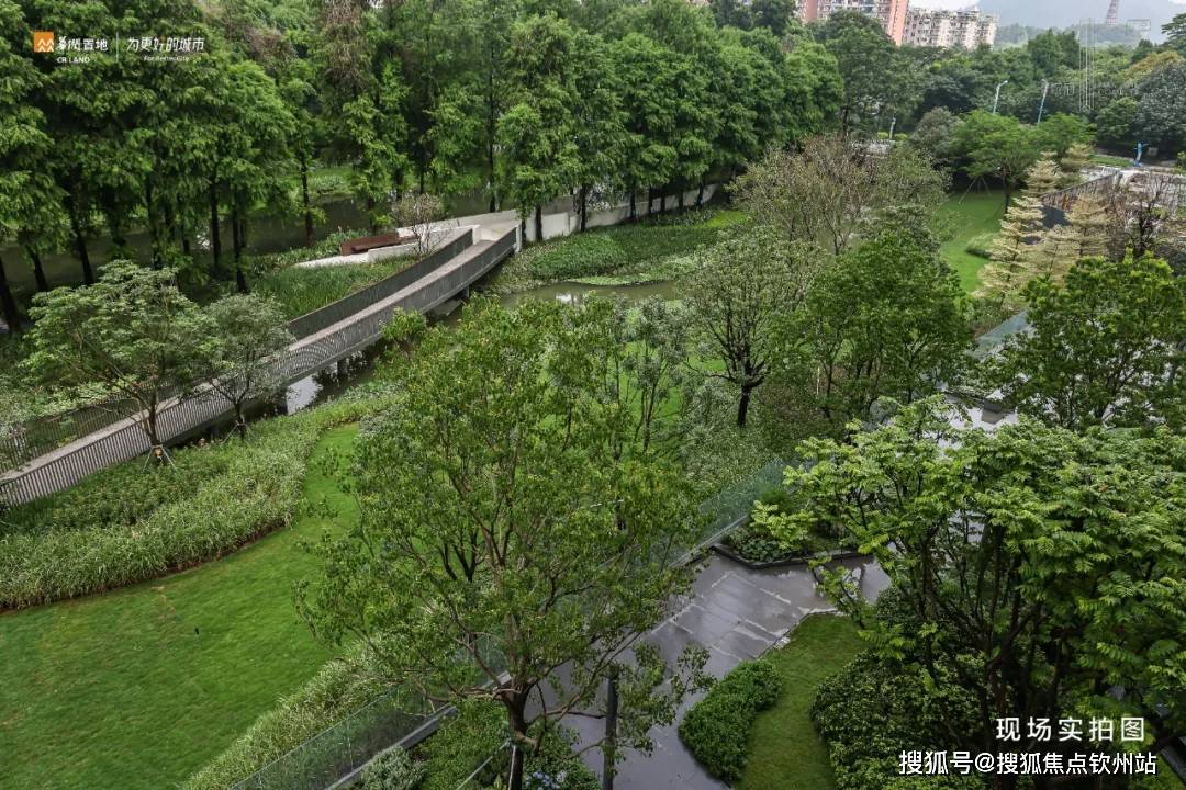 顺德悦府 (大良)【华润置地顺德悦府 】首页网站|楼盘详情_房价户型规划_顺峰山公园_设计_景观