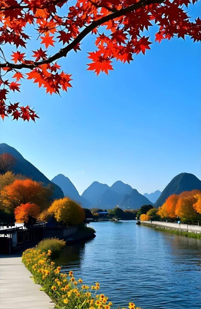 文章配图-5