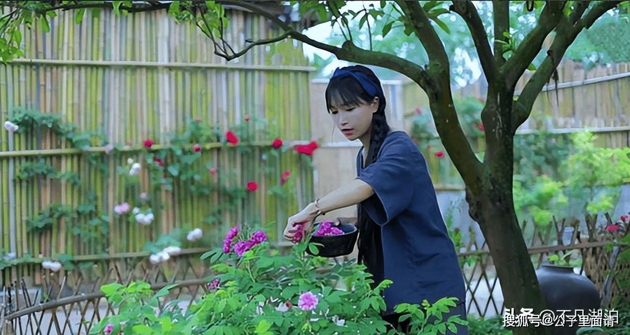 李子柒桃花酒图片