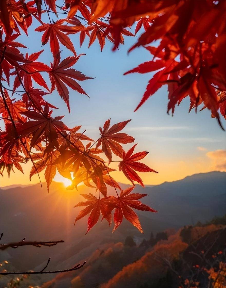 文章配图-2