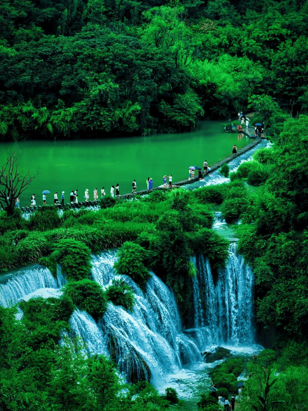 贵阳,必去十大景点,去过六个算合格,你去过几个?