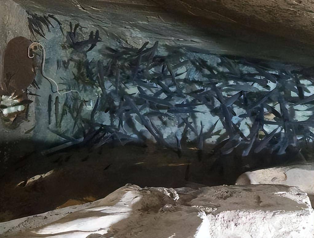 16年前,李常权在自家挖出鱼泉,靠卖鱼年入30万,如今怎么样了?