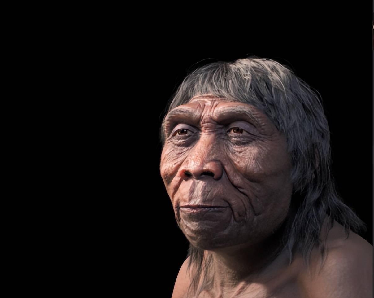 起源_古人类_直立人