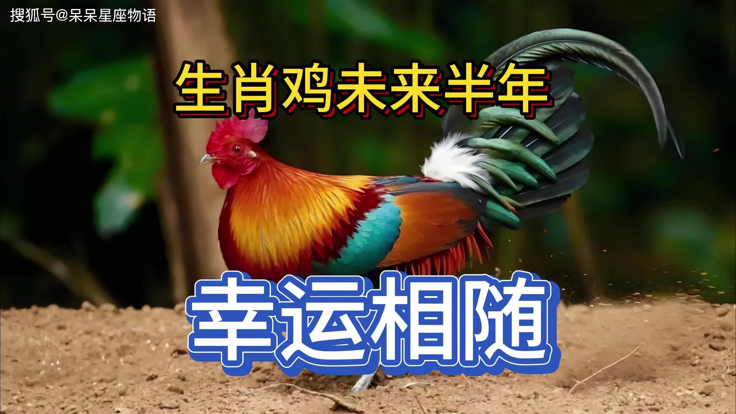 生肖鸡下周运势最新(准哦生肖鸡下周运势)