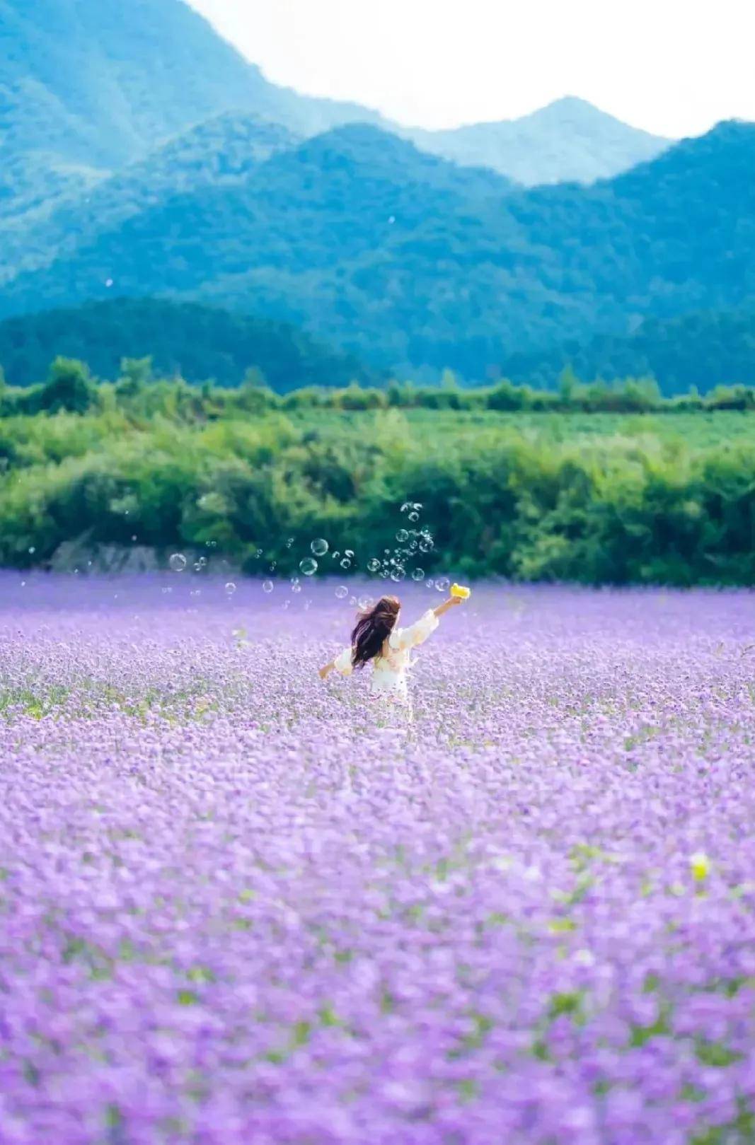 花海拍照的姿势大全女图片