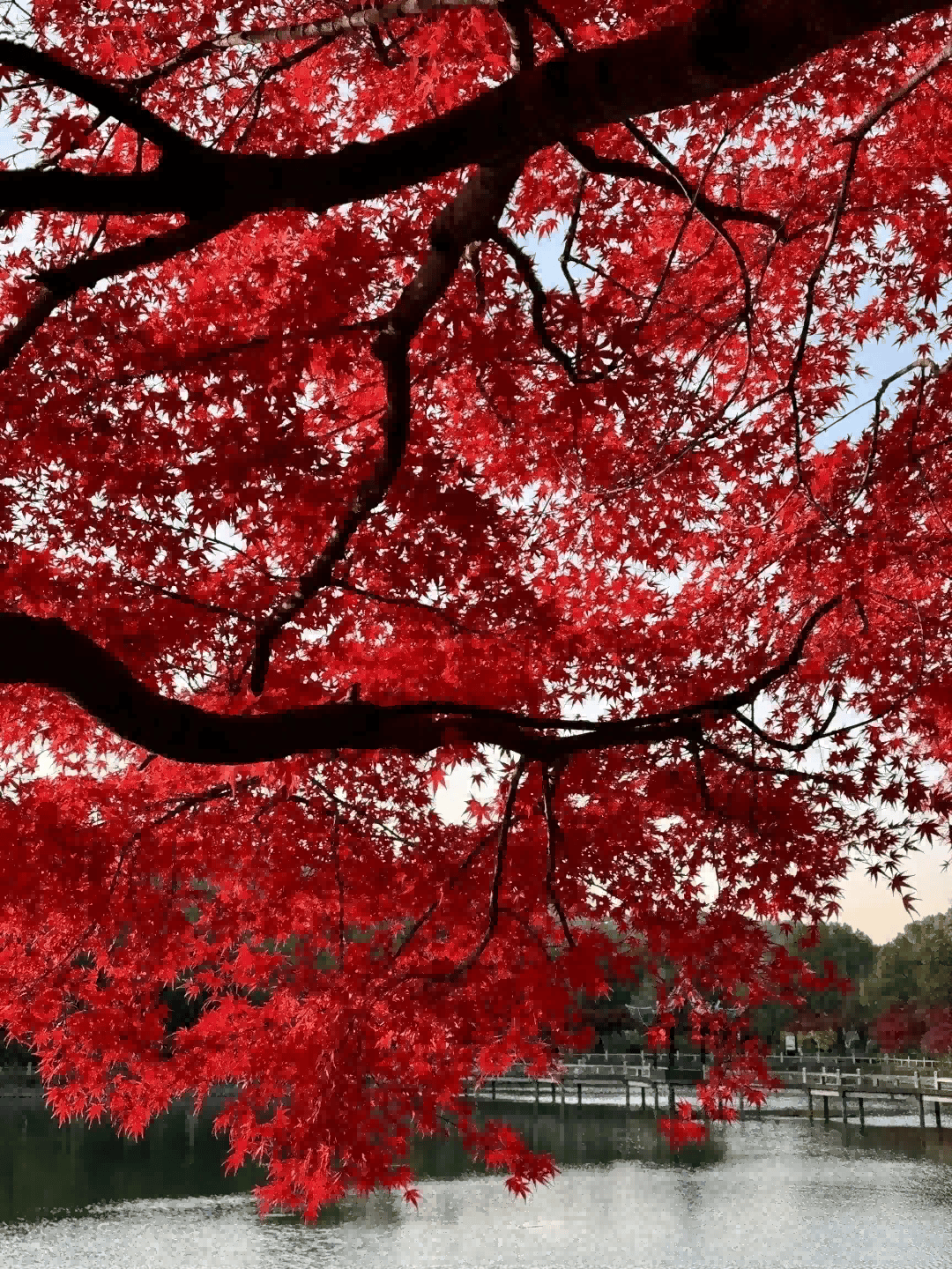 天平山在哪里图片