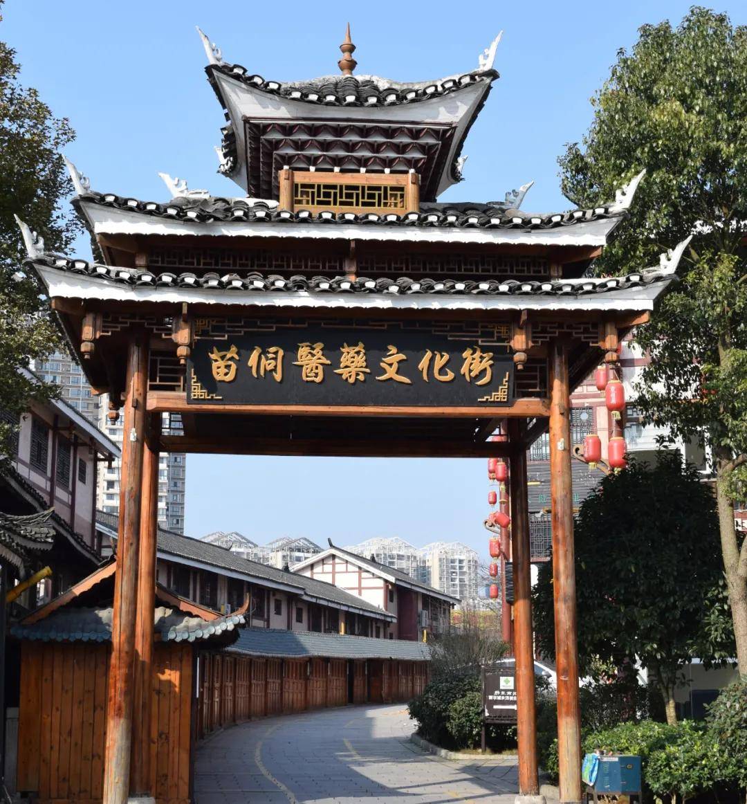 中医药价旅游（中医药旅游近况
）《中医药+旅游》