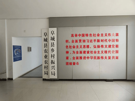 “夫妻档”竟联合中标同一单位 阜城县农业局被质疑招采走过场(图9)