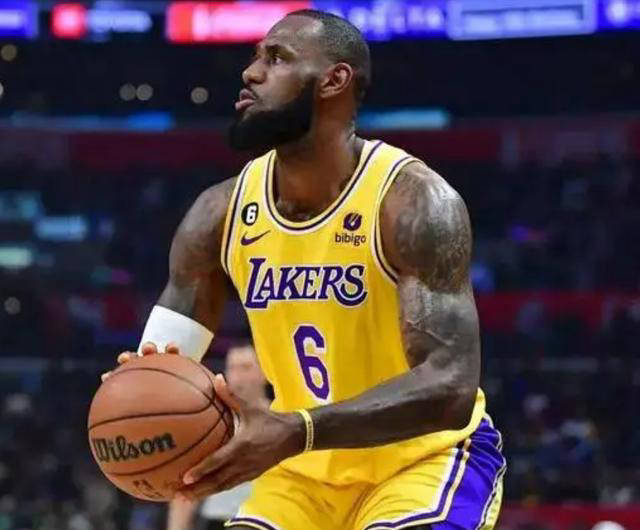 书名：詹姆斯和布朗尼：NBA历史上第一对父子球员的传奇故事