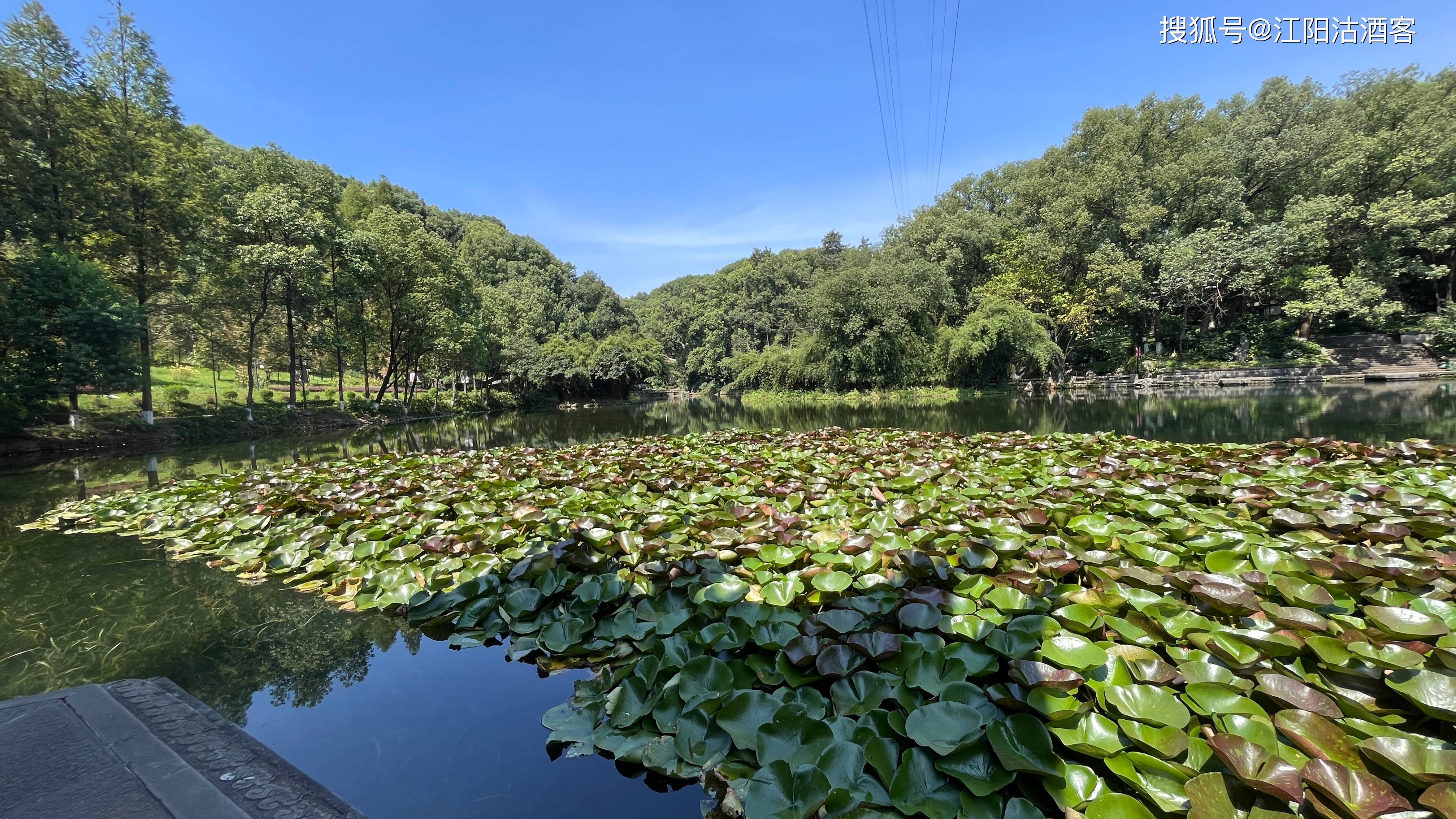 泸州市忠山公园图片