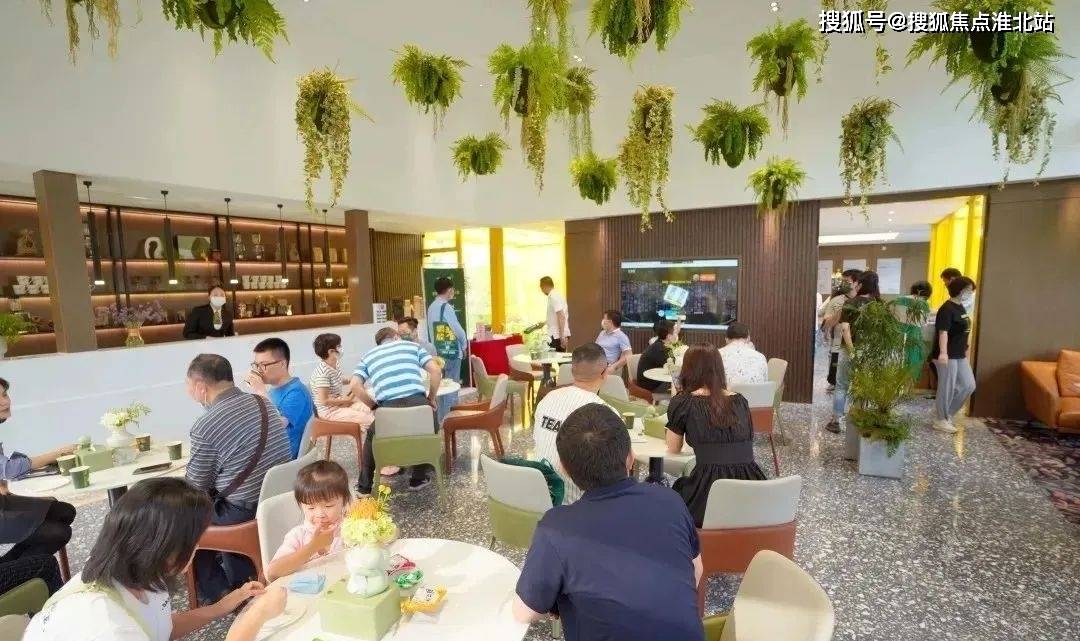深圳宝电话机厂(深圳宝电有限公司)