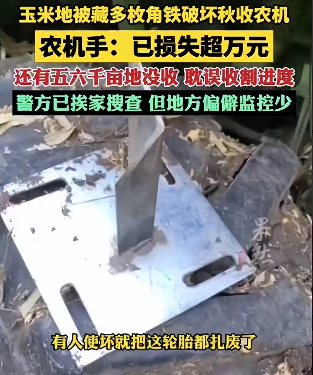 原创            玉米地被藏多枚角铁破坏秋收农机-玉米地的管理