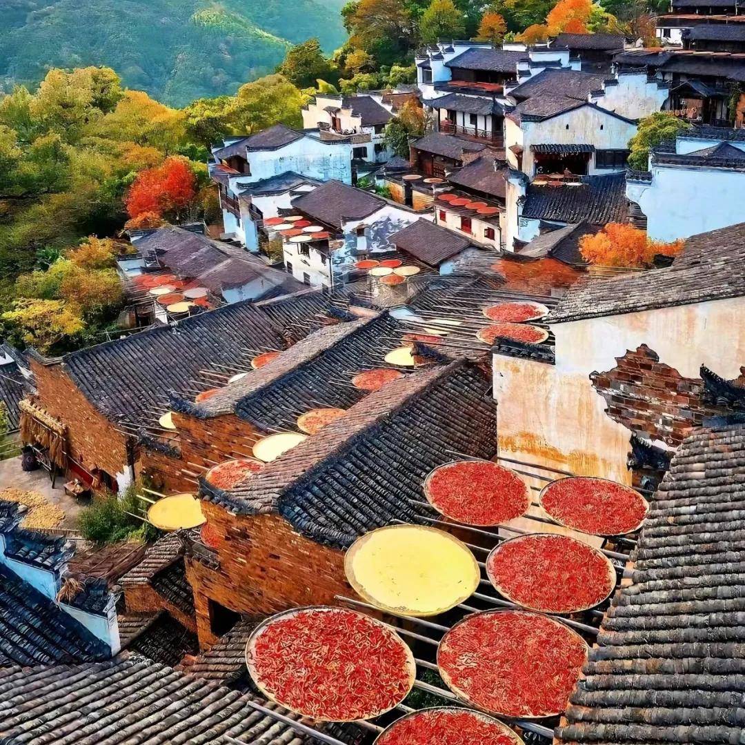 图片[3]-秋色正浓！11月最适合前往的九大城市 -华闻时空