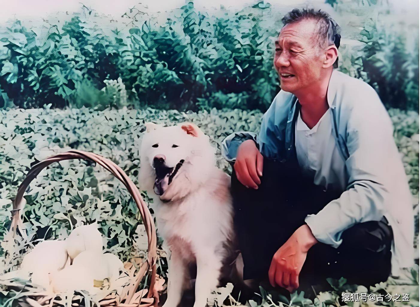 这部电视剧由导演陈雨田执导,由著名演员田成仁,吴玉华和鞠庆洲主演.