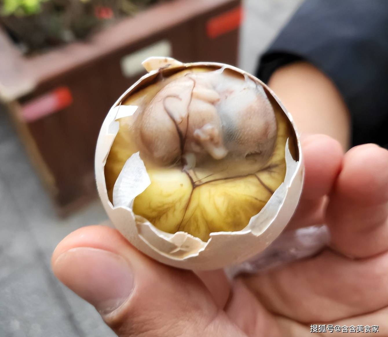 福建“五大怪菜”排行榜,看看你敢尝试吗?_鸡仔_土笋_味蕾