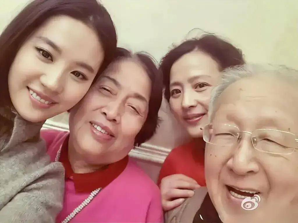 看了刘亦菲的家庭聚会合影,才发现这一家子的颜值太让人惊讶
