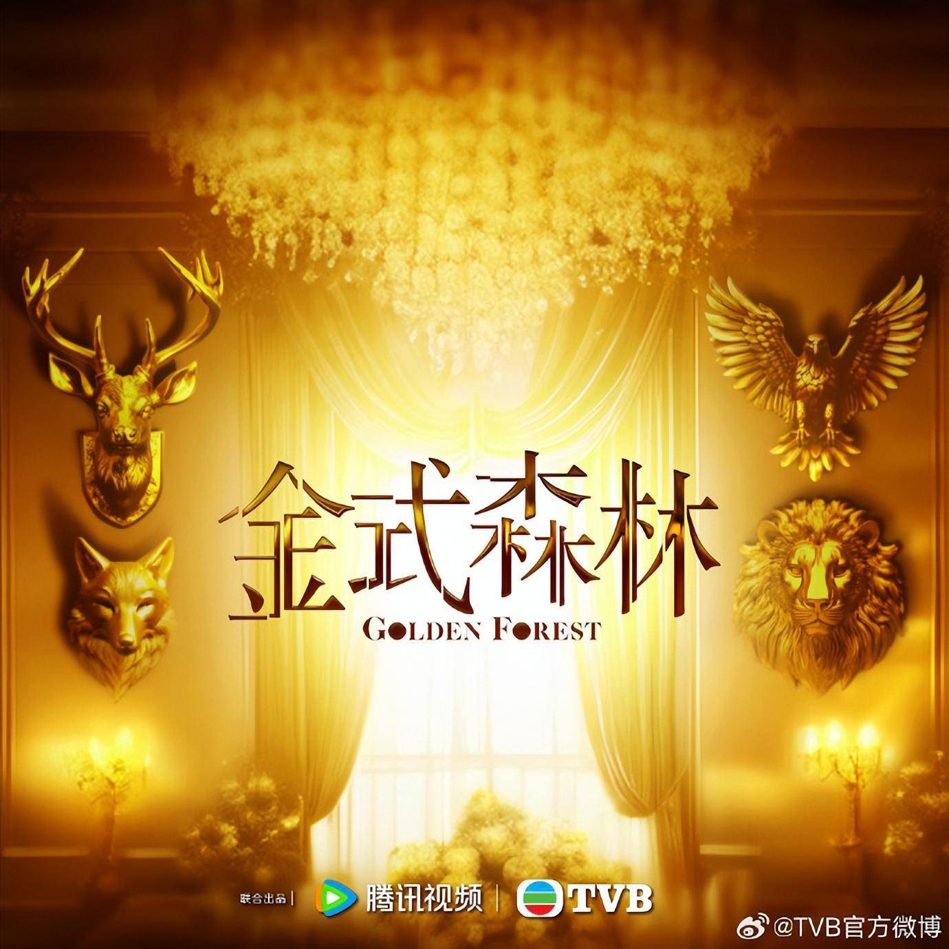 2020tvb电视剧节目单图片