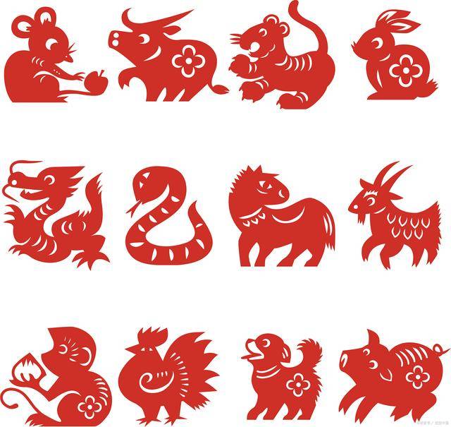 2025年，狮子座的羊，绽放时刻，崭新开始_挑战_深圳_成长
