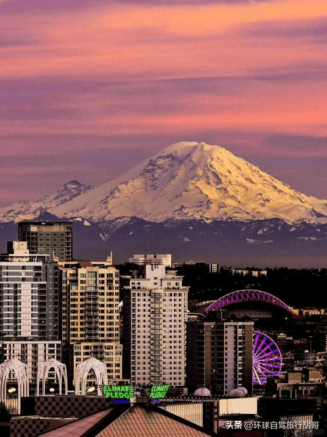 刚从西雅图回来，终于理解了西雅图的宝贵，想知道什么就问！_搜狐网