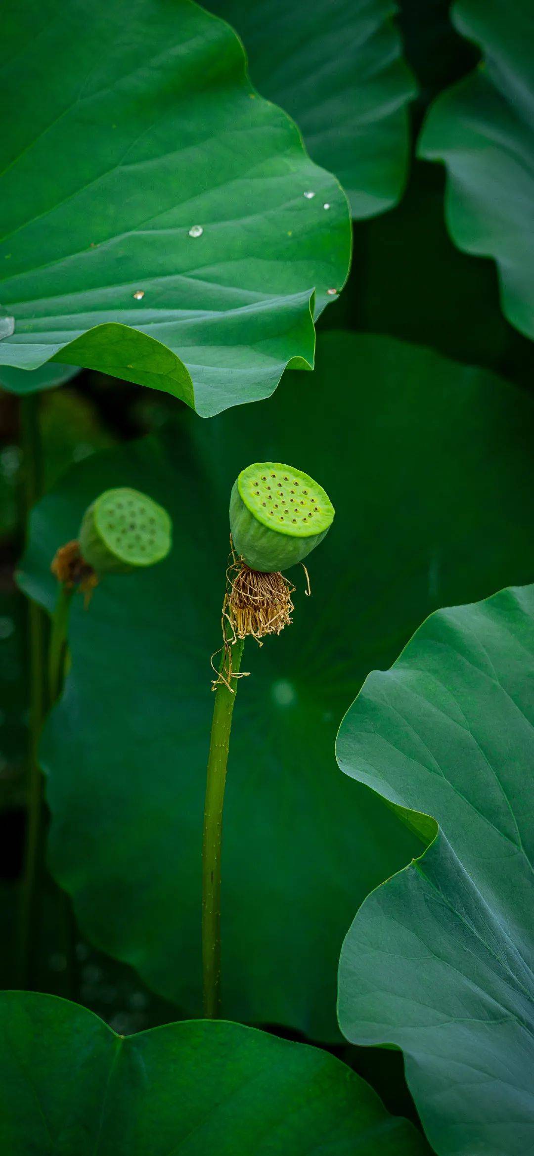 保护眼睛背景图片大全图片