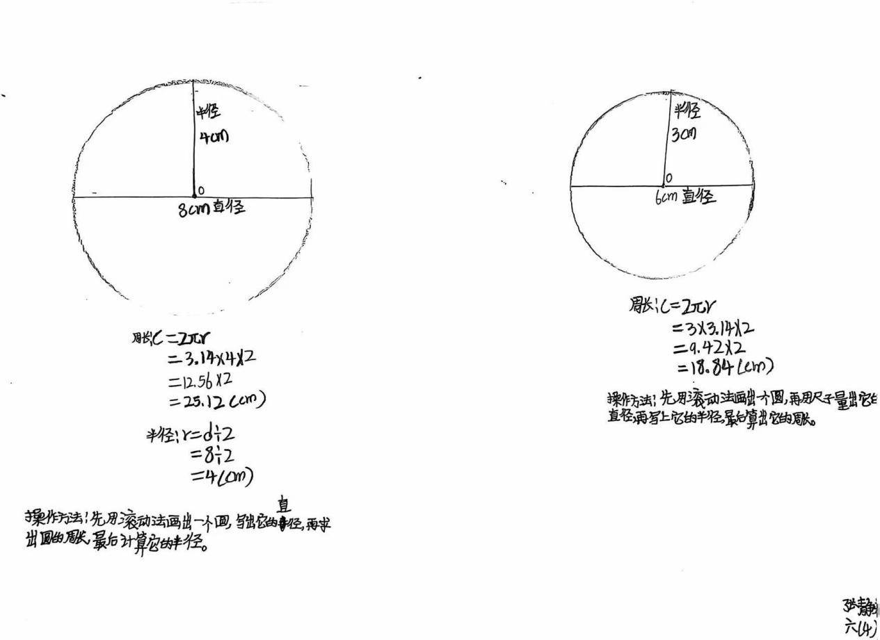 数学画圆的步骤图片