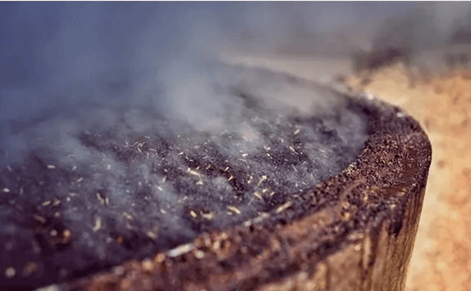 黔园春酒,封坛贡品传世酱香,窖藏精品诠释高端品味