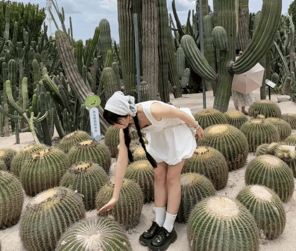 什么季节更适合去厦门？福建厦门旅游景区有哪些？厦门旅游五天路线推荐！-第2张图片-旅游攻略网