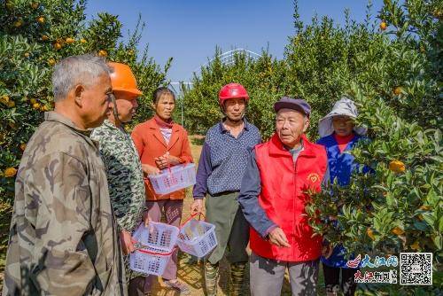 江西金溪：银发党员志愿者开展志愿服务活动