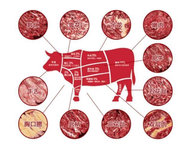 吊龙牛肉是哪个部位?牛身上最鲜美的部位,你要会吃