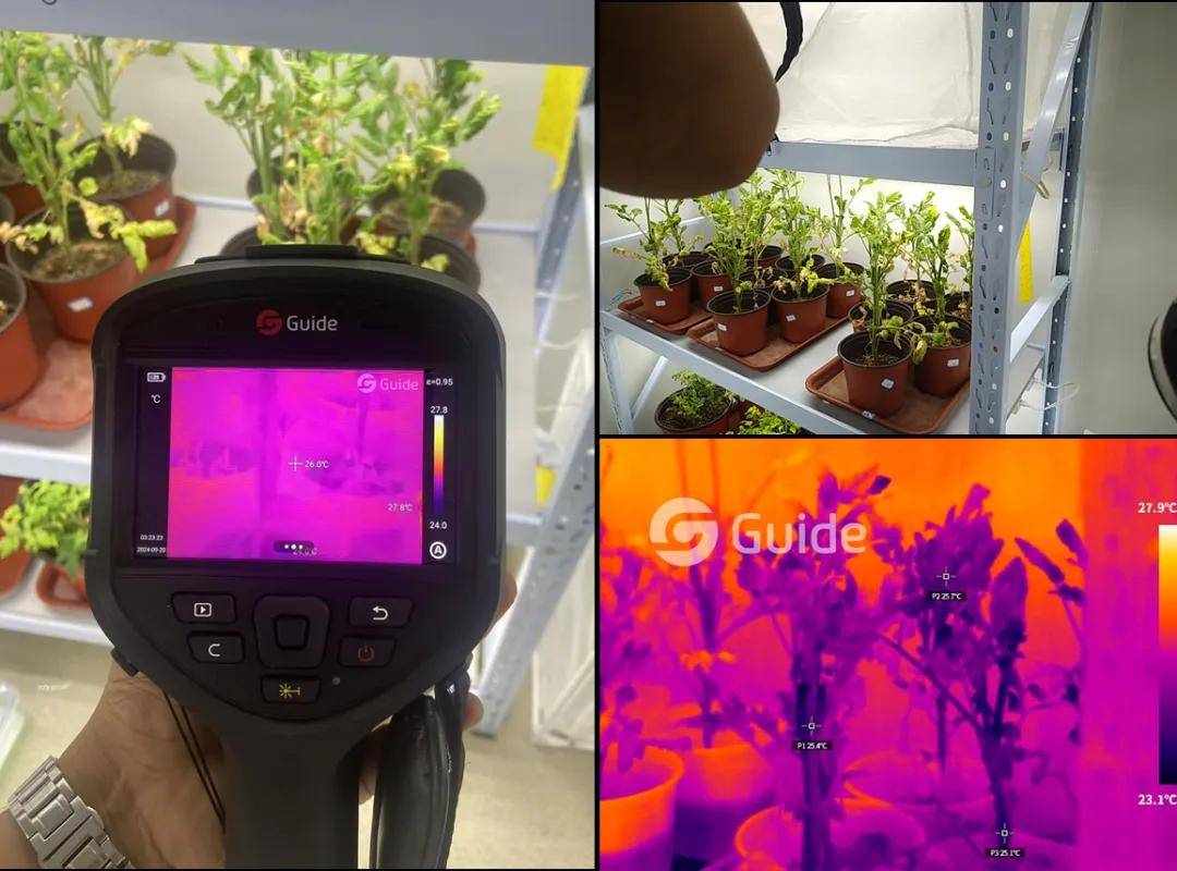 红外热像仪赋能科研智造创新应用