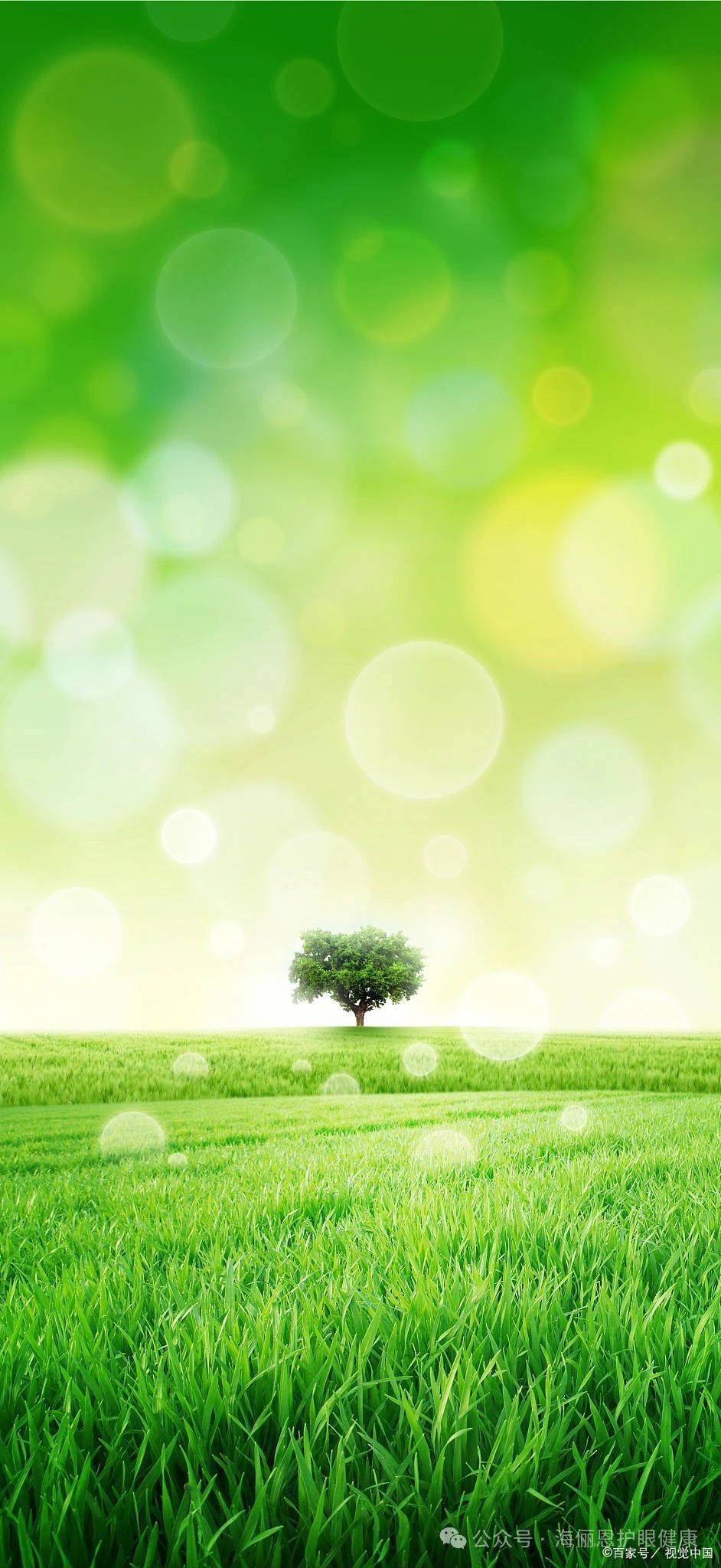「海俪恩护眼科技」分享壁纸| 干净护眼的绿色系手机壁纸