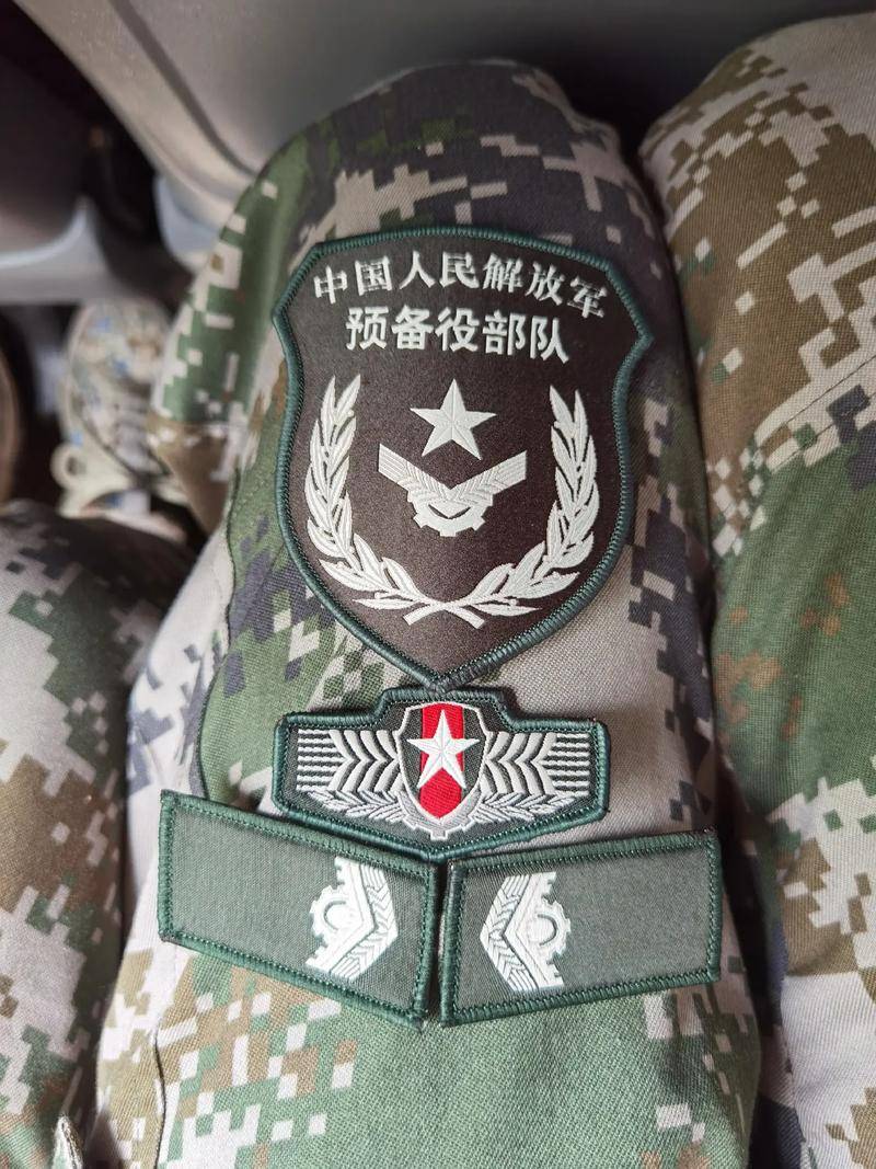 它可以在现役部队,预备役部队,民兵组织中进行,或者采取其他组织形式