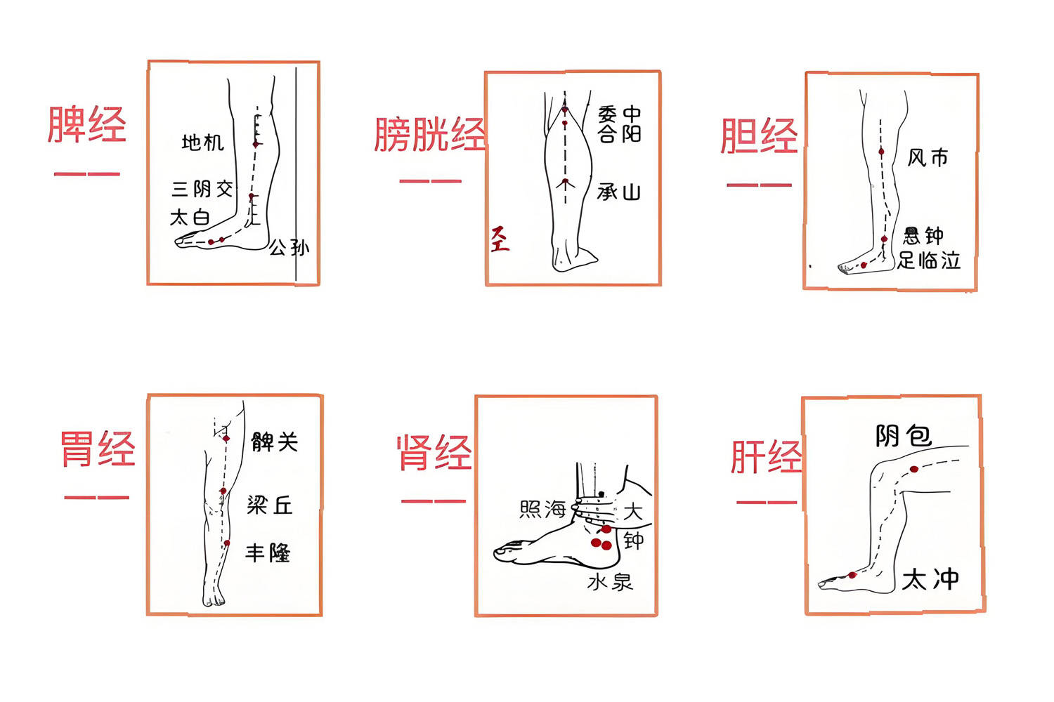带你了解人体的14条主要经络,劲松中西医结合医院中医科