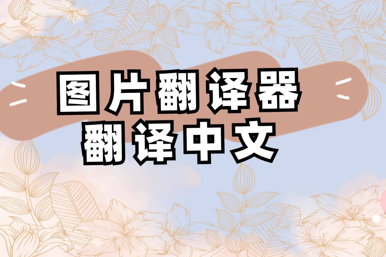 怎么图片翻译器翻译中文？这里教你用图片翻译软件搞定_搜狐网