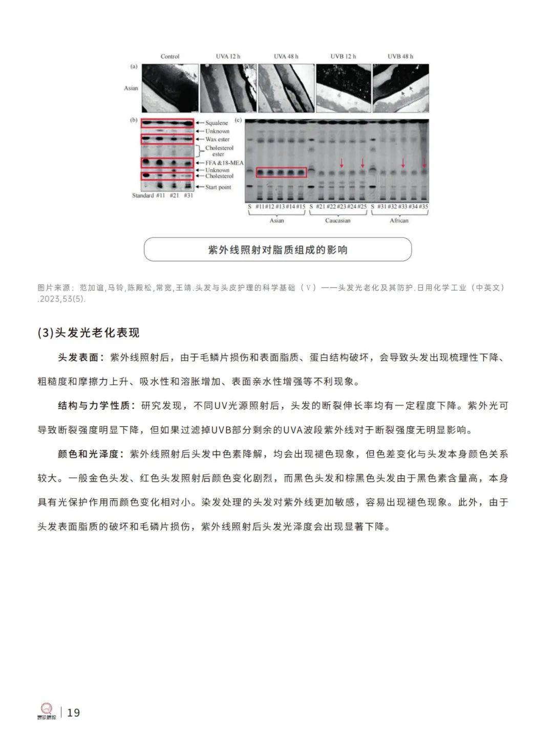 青眼情报：2024中国洗发护发市场现状分析报告，科学洗发护发指南