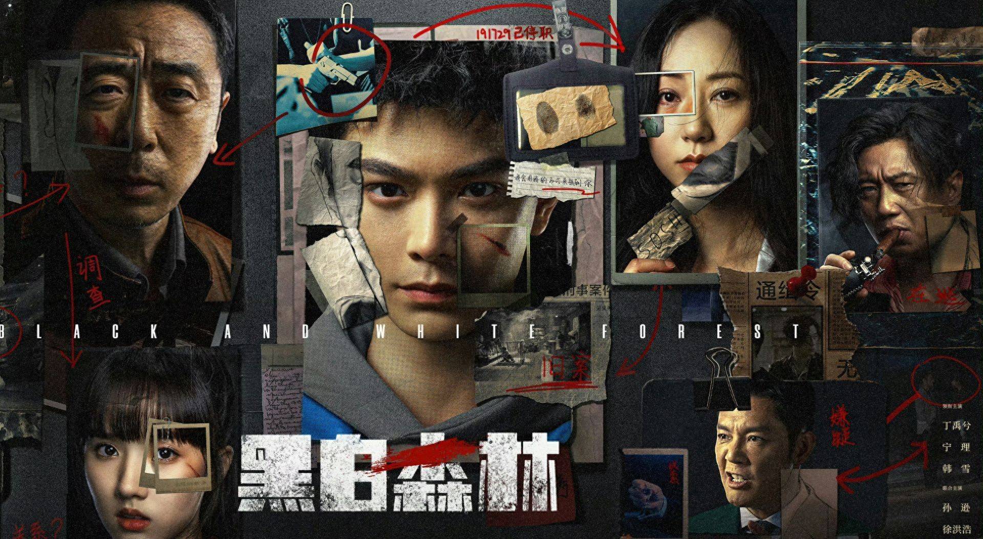 《黑白森林》直到姐夫遇害,文彬彬才发现,邰局竟是警方内鬼