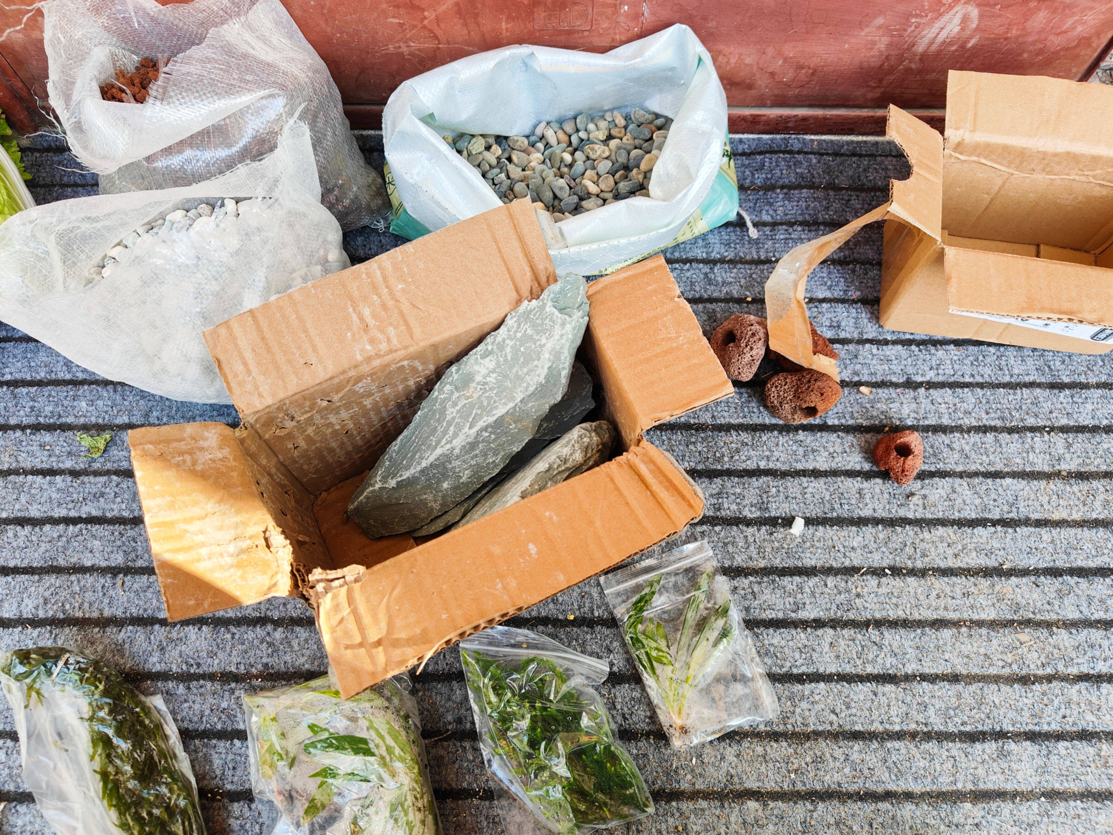 当贝智能鱼缸教你正确养鱼,一键搞定水流和投喂,养鱼如“摸鱼”一样轻松简单