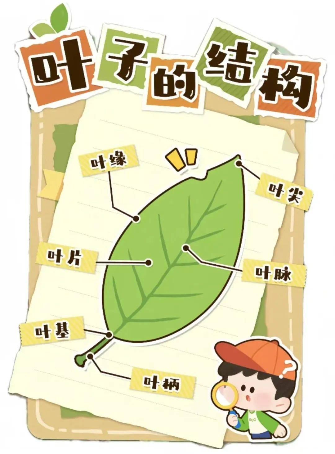 建业春天里幼儿园 你好,秋天