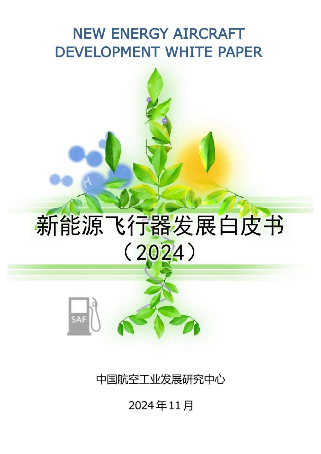 2024年新能源飞行器发展趋势白皮书（详细报告解读）