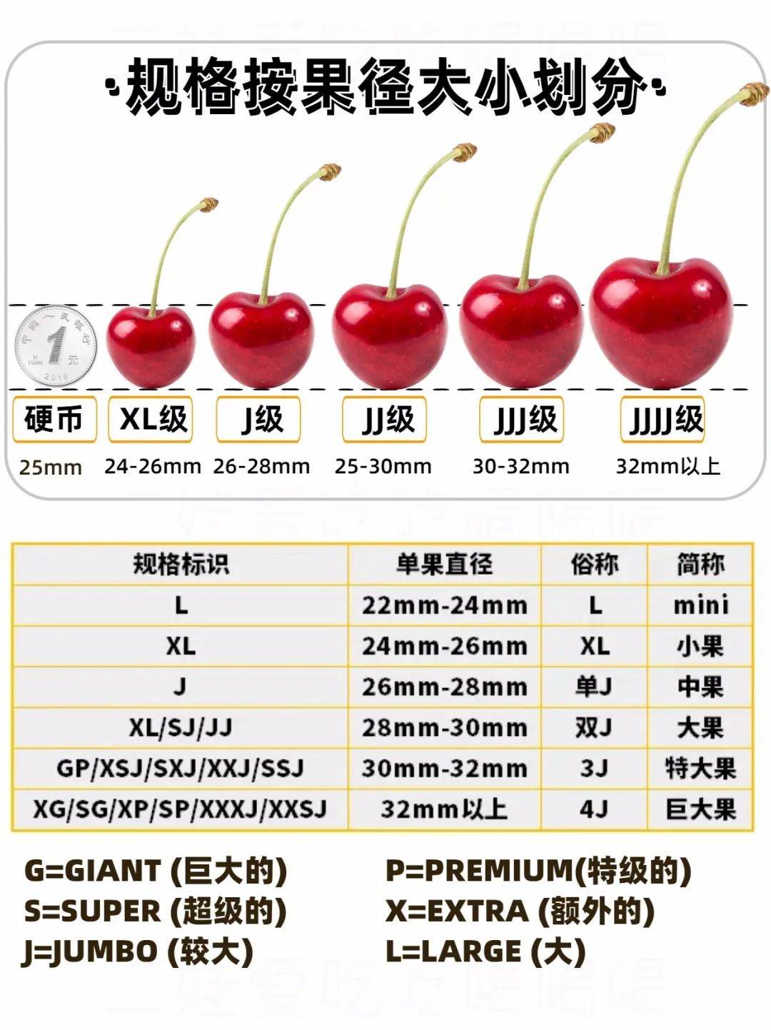 车厘子规格图图片