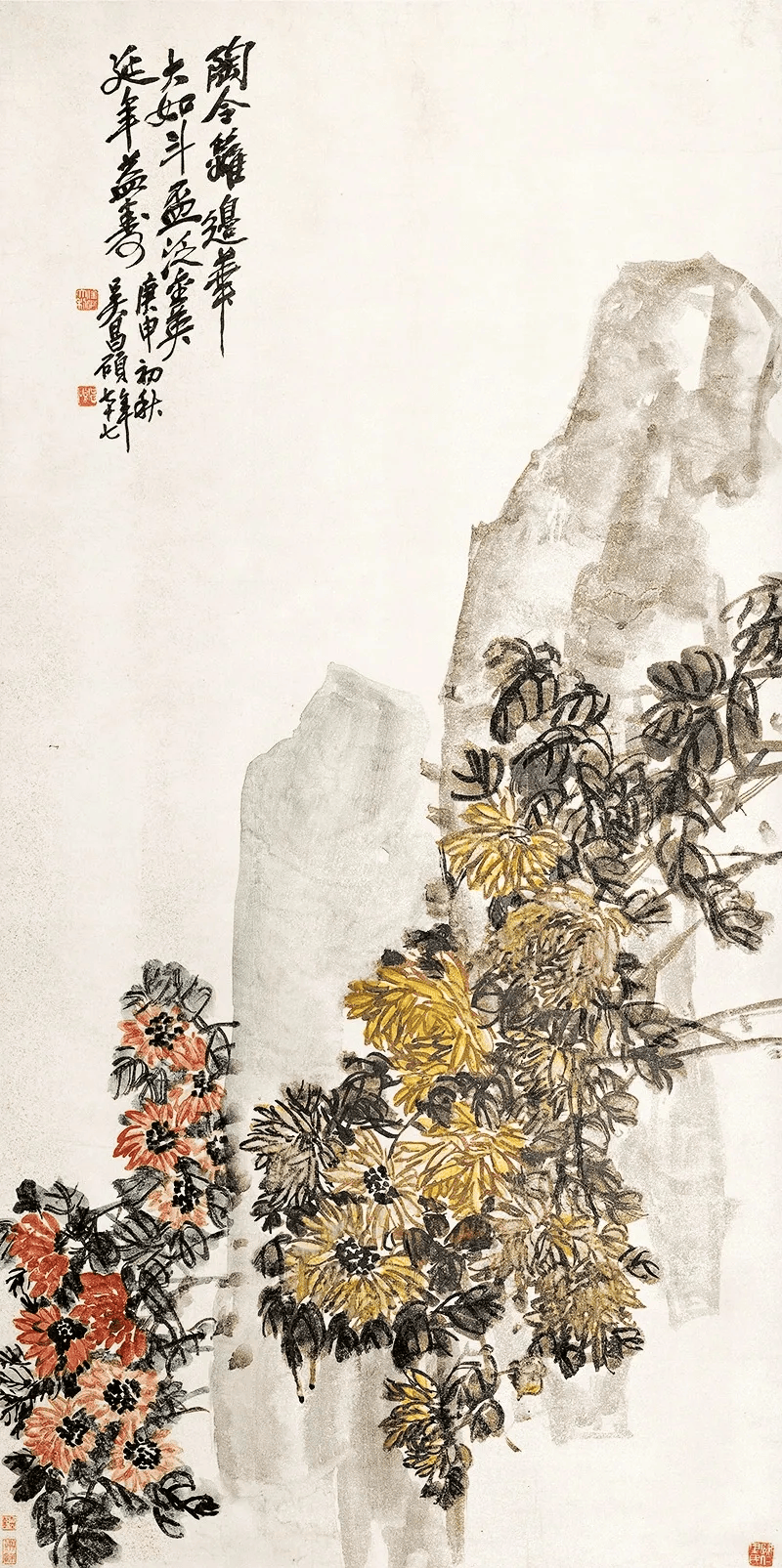 吴昌硕笔下的菊石图，经典！_菊花_艺术_作品