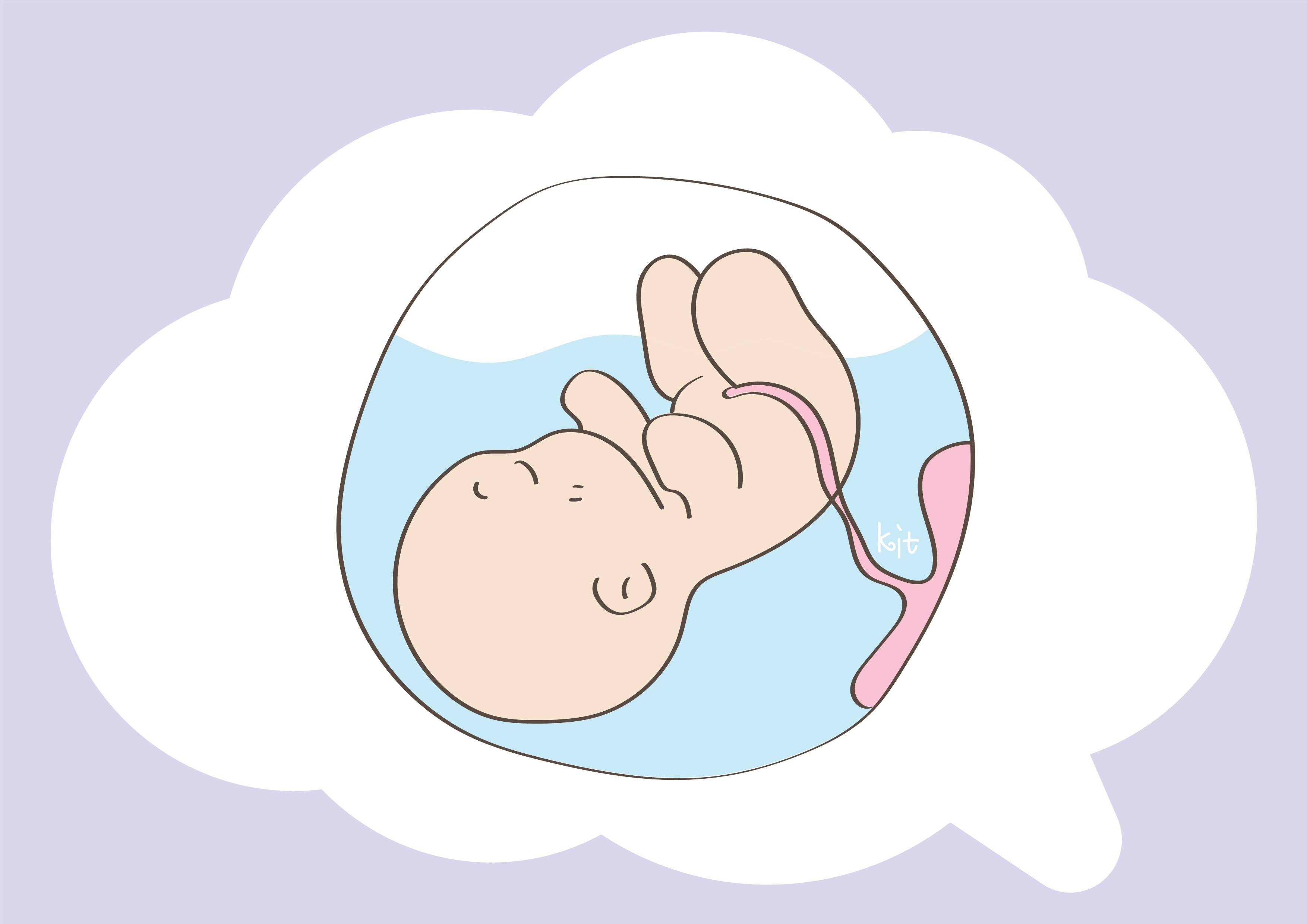 孕期营养管理:对母婴健康的重要性