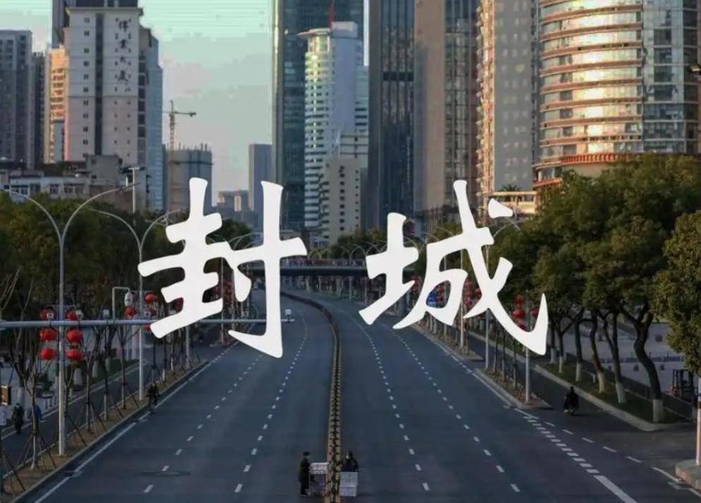  疫情封城是哪一年到哪一年开始的(疫情封城是哪天)