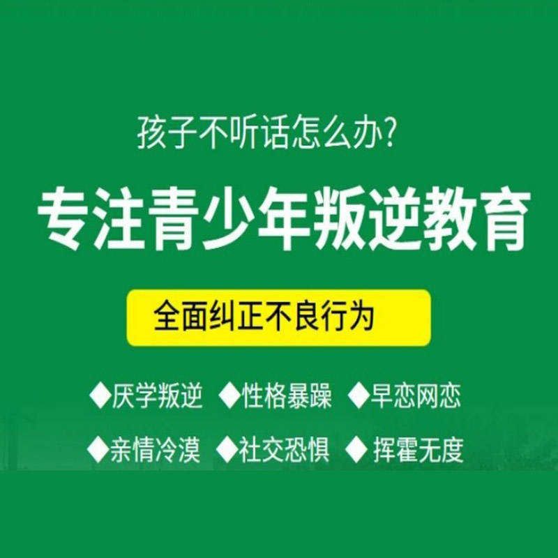 家庭教育指导——构建和谐亲子关系的关键环节